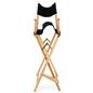 Custom directors chair with folding frame 