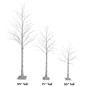 Lighted birch tree with 95, 71 and 50 inch tall height options