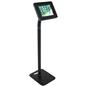 Height adjustable iPad display with graphics and rotating enclosure 