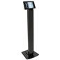 iPad Mini Kiosk 