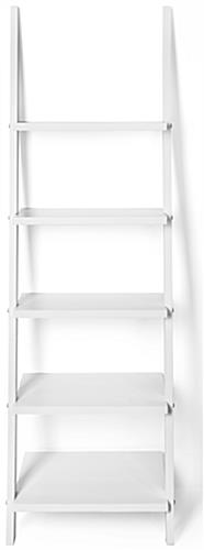 Leaning Ladder Shelves with Pine Construction
