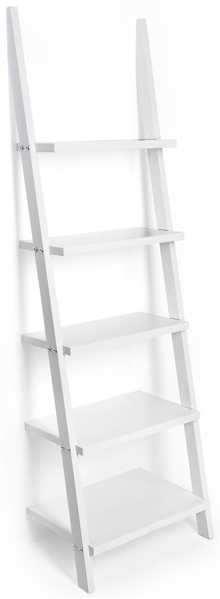 Leaning Ladder Shelves | With Open Design