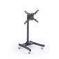 Economy Television Rack