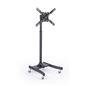 Economy Television Rack