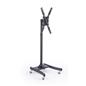 Economy Television Rack