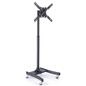 Economy Television Rack
