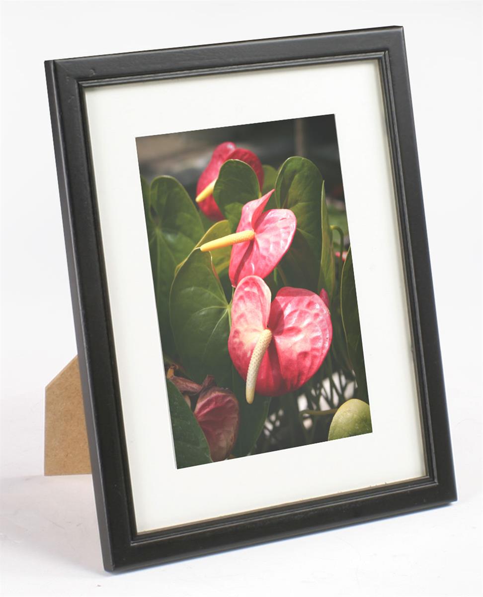 5 x 7 Matted Picture Frame Tabletop or Wall Mount Use