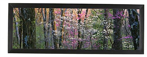 Black Panorama Photo Frame