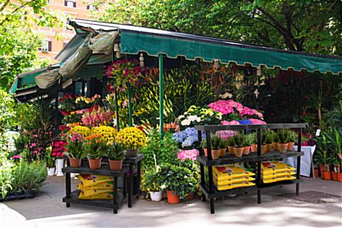 Greenhouse 3-tier plant shelf with top grid platform surfaces
