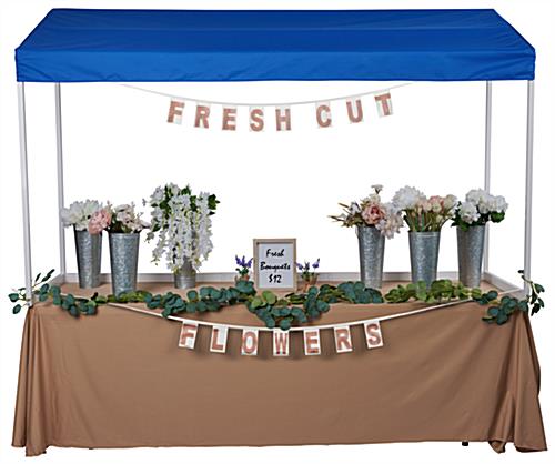 Table top canopy with 60 inch tall design