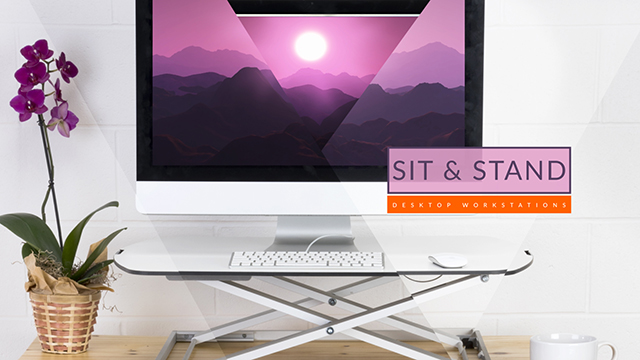 Sit and Stand Desktop Workstation